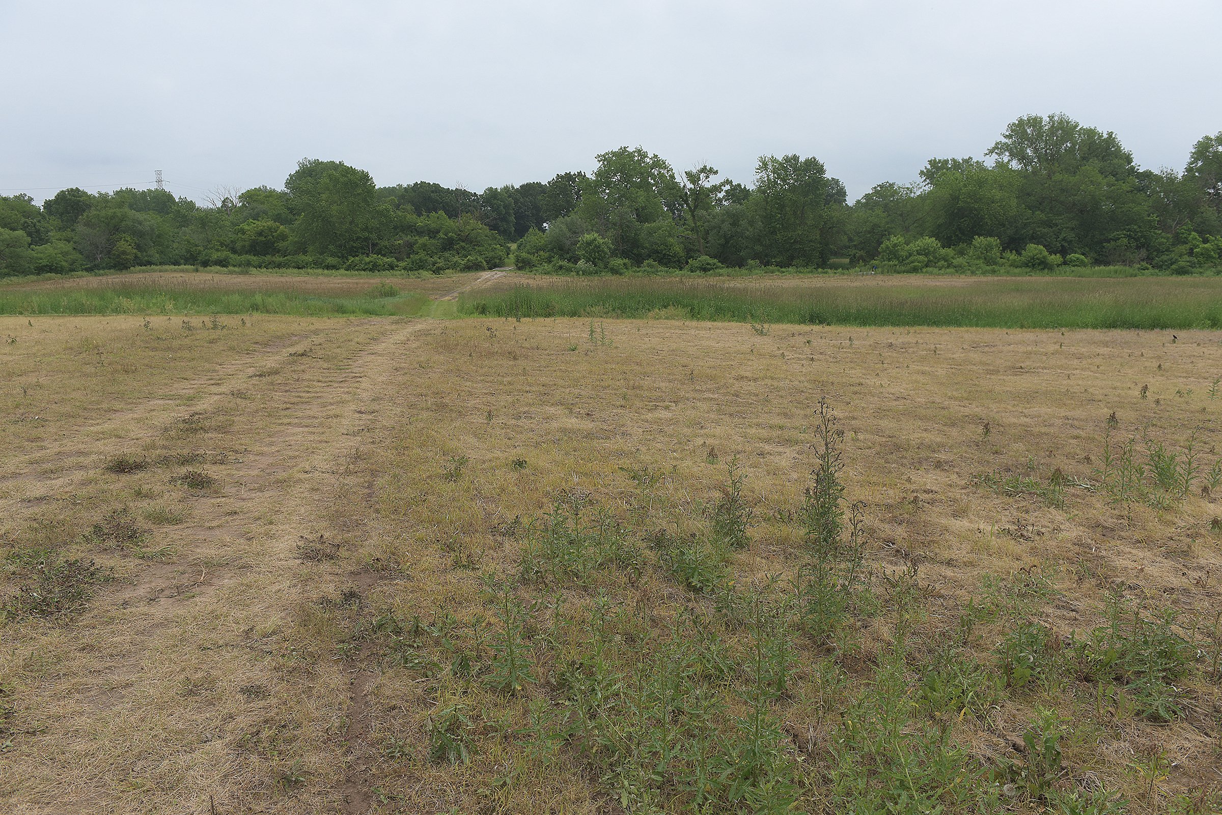Property photo 25 - LAND AUCTION - 147+/- ACRES OFFERED IN 3 TRACTS IN LAKE COUNTY, INDIANA